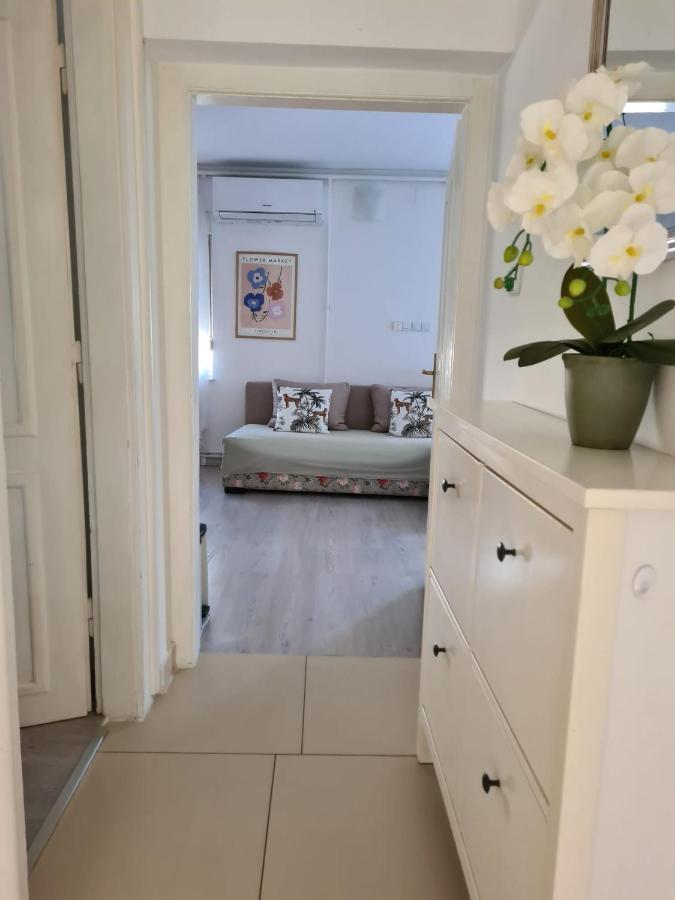St Anthony'S House With Parking Apartment Загреб Екстериор снимка